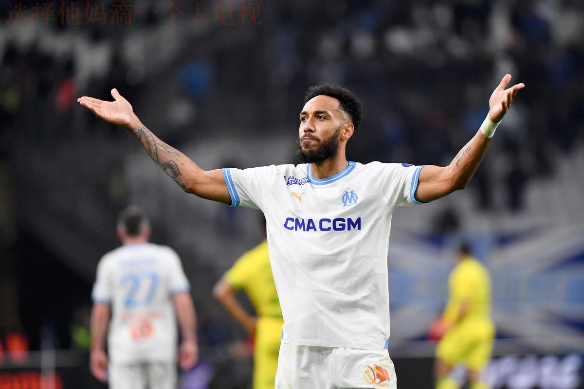 半岛体育登录入口最新指南